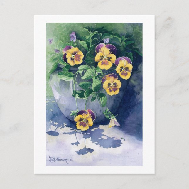 Carte Postale 0011 Pansies dans Planter (Devant)