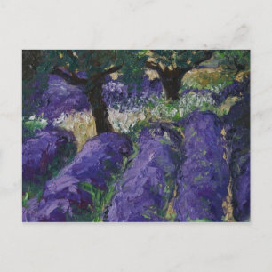 Carte Postale 0063-le champ de lavande