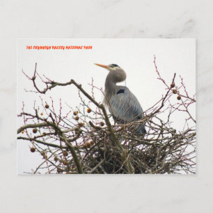 CARTE POSTALE 04011-70-APC