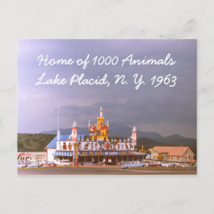 Carte postale 1000 Animaux Lake Placid