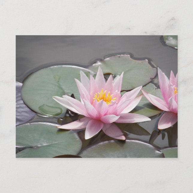 CARTE POSTALE 100_0085 (Devant)