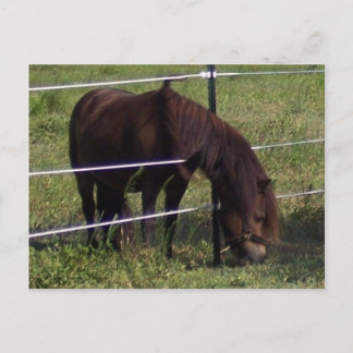 CARTE POSTALE 100_0375