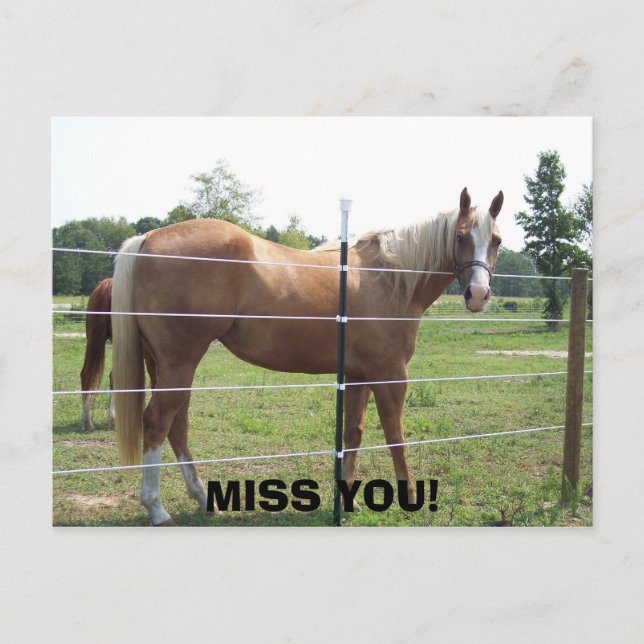 CARTE POSTALE 100_0415, VOUS MANQUEZ ! (Devant)