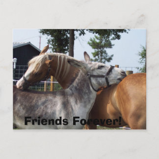 Carte Postale 100_0424, Amis pour toujours !