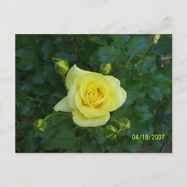 CARTE POSTALE 100_3464 (Devant)