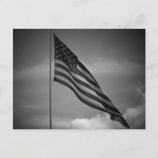 Carte Postale 100 b0343s (Devant)