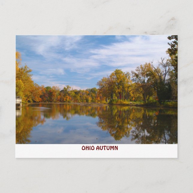 CARTE POSTALE 101011-90PC (Devant)