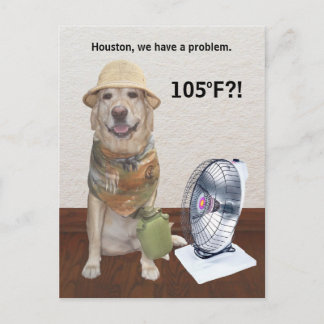 CARTE POSTALE 105 F ? !