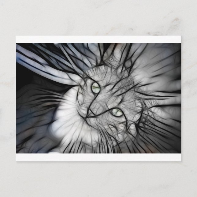 Carte Postale 10 - L'engin de chasse (Devant)