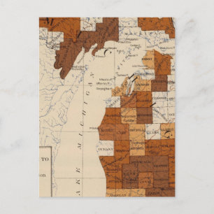 Carte Postale 110 fièvre typhoïde Michigan