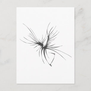Carte Postale 115 Noir Blanc Art Tribal Tatouage Abstrait