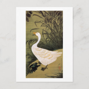 Carte Postale 13. 芦 鵞 図, 冲 Reed & Goose, Jakuchu, Japon Art,