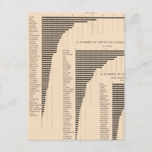 Carte Postale 150 Porcins, bovins maigres, moutons, chevaux