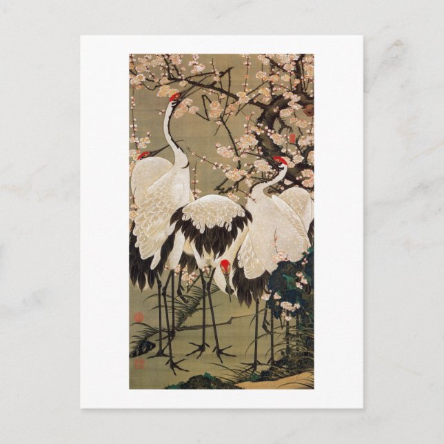 Carte Postale 15. 梅 花 群 鶴 図, 若 Plum Blossoms & Cranes, Jakuchú,  (Devant)