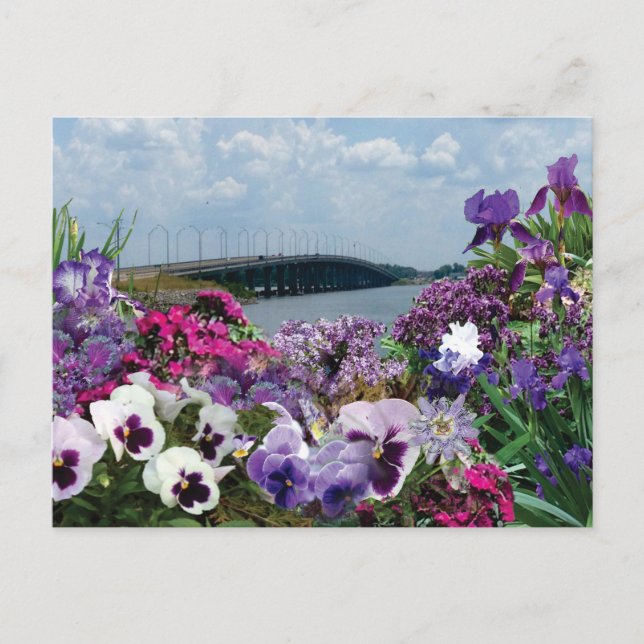 Carte postale 15r1 du pont de voilier et fleurs (Devant)