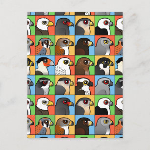 Carte Postale 16 profils de rapaces nord-américains (carrelés)