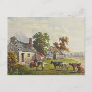 Carte postale 1855 Vintage Farm Watercolor
