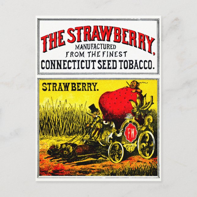 Carte Postale 1874 Le Cigar Aux Fraises (Devant)
