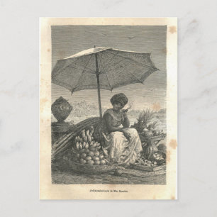 Carte Postale 1877 Imprimer Rio de Janeiro, La Terre et ses peup