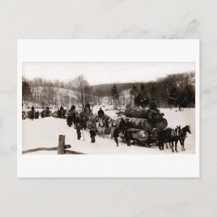 Carte Postale 1905 Lumberjacks au travail