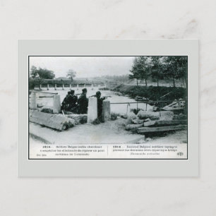 Carte Postale 1914 Soldats belges en défense près de Termonde