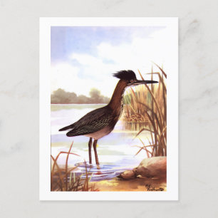 Carte Postale 1926 OISEAUX DE CHASSE Vintage "HERON VERT" signé