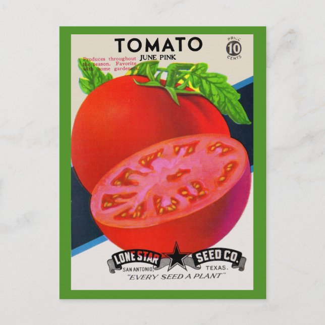 Carte Postale  1950s seed packet tomato (Devant)