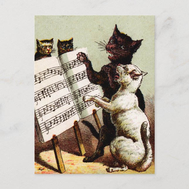 Carte Postale 19e C. Chats chanteurs (Devant)