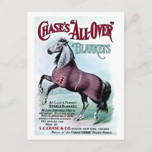 Carte Postale 19e C. Couvertures Chase Horse