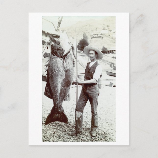 Carte Postale 19e C. Pêcheur et Goliath Grouper (Devant)