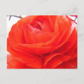 Carte Postale 1 4 Vous