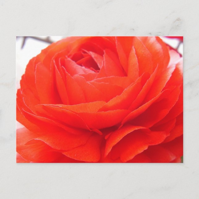 Carte Postale 1 4 Vous (Devant)