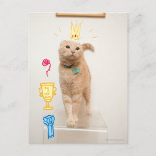 Carte Postale #1 Cat
