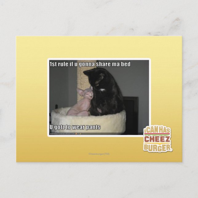 Carte Postale 1st rule if u gonna share ma bed (Devant)