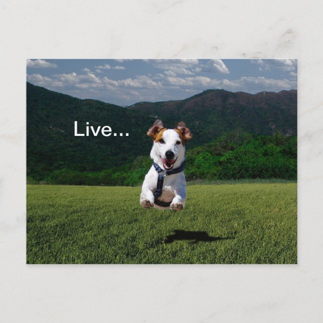 Carte postale 2 (Devant)