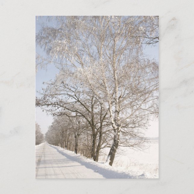 CARTE POSTALE 2 (Devant)