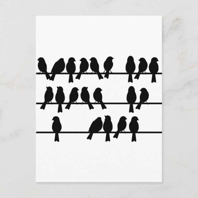 Carte Postale 21 Oiseaux Sur Un Fil (Devant)