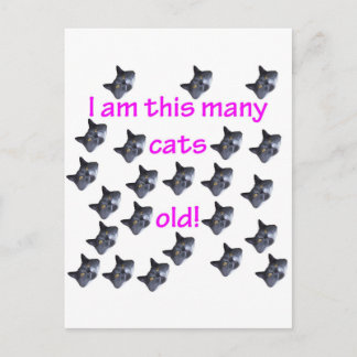 Carte Postale 23 Têtes de chat vieilles