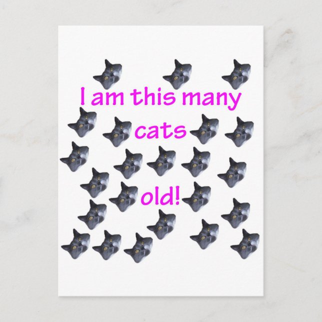 Carte Postale 23 Têtes de chat vieilles (Devant)