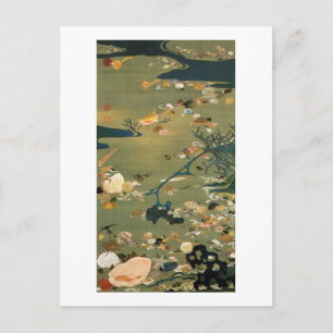 Carte Postale 24. 貝 甲 図, 若 冲 Shells, Jakuchú, Japon Art