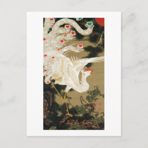 Carte Postale 25. 老 松 白 図, 冲 Pine & Phoenix, Jakuchu