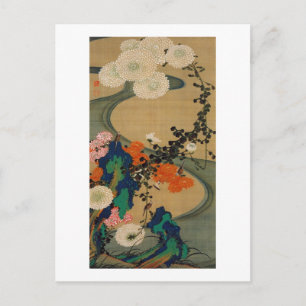 Carte Postale 29. 菊 花 流 水 図, 冲 Chrysanthemum & Stream, Jakuchu