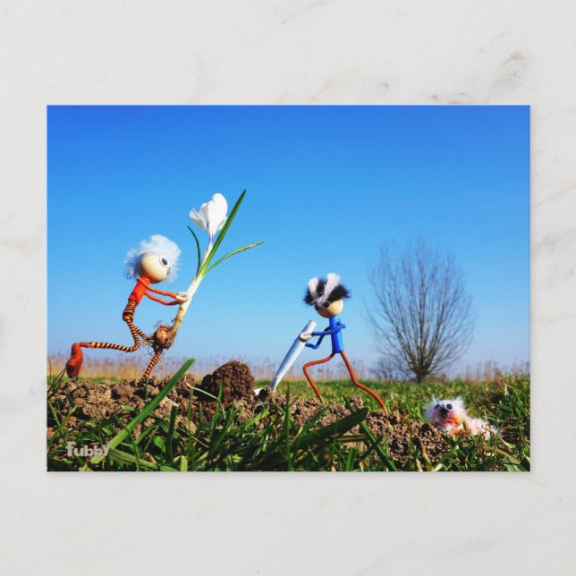 Carte Postale 2 Fubby qui plantent une sphère de crocus. (Devant)