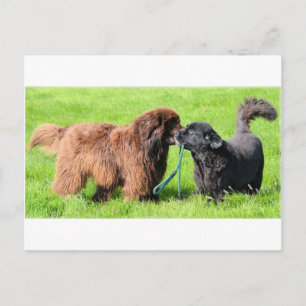 Carte Postale 2 nouveaux fichiers.png