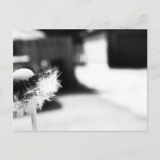 Carte Postale 2 souhaits