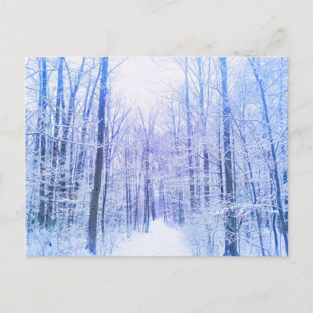 Carte Postale 2Carte postale Woodland (Devant)