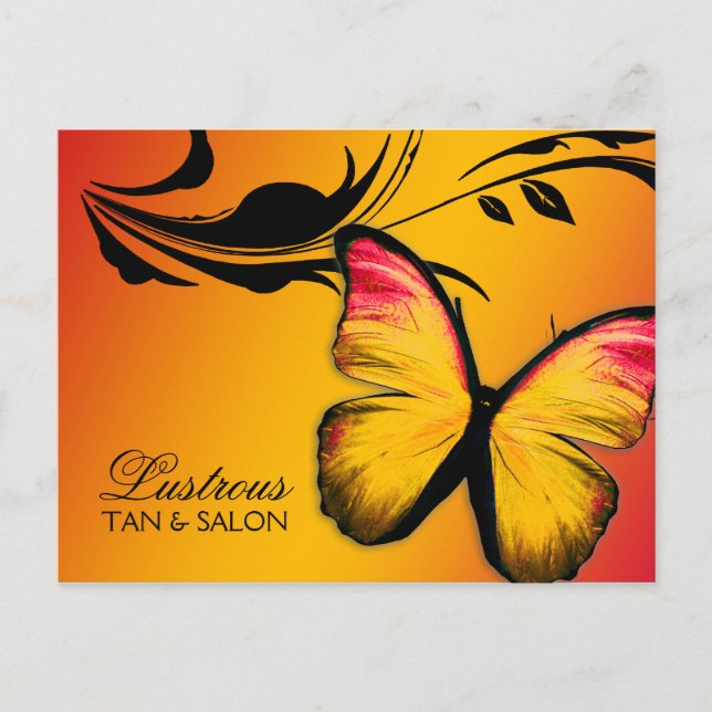 Carte Postale 311 Coucher de soleil de papillon lustré (Devant)