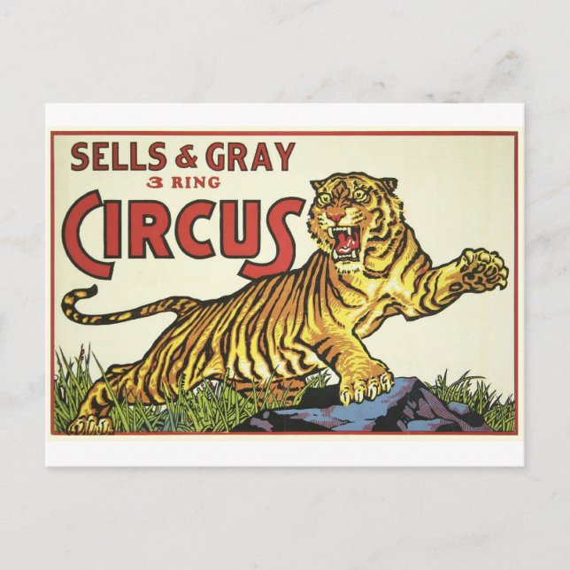Carte Postale 3 Cercle - cirque 1930 (Devant)