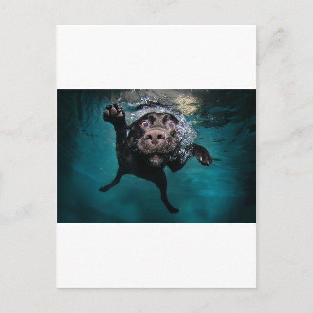 Carte Postale 3.jpeg (Devant)