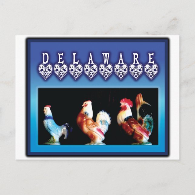 Carte Postale 3 poulets du Delaware (Devant)
